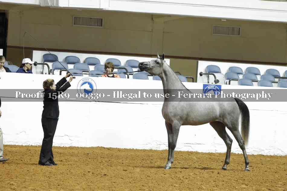Proof Number 15R9_00330