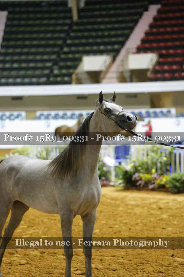 Proof Number 15R9_00331