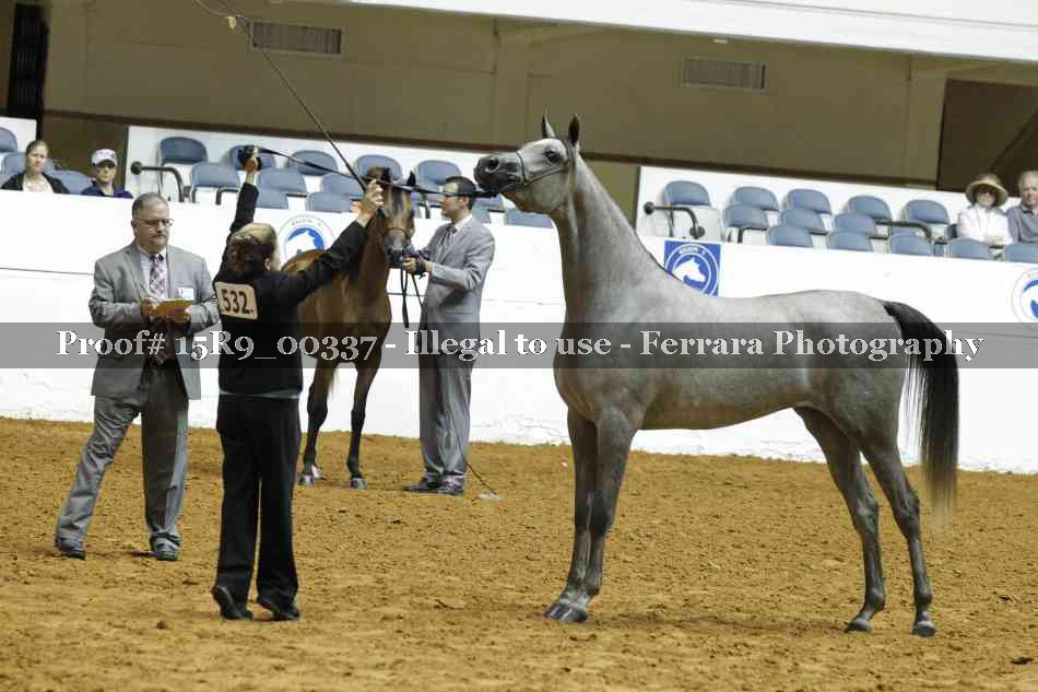 Proof Number 15R9_00337