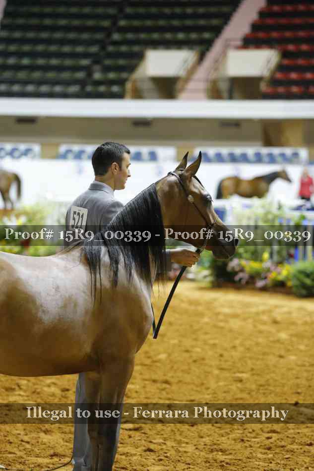 Proof Number 15R9_00339