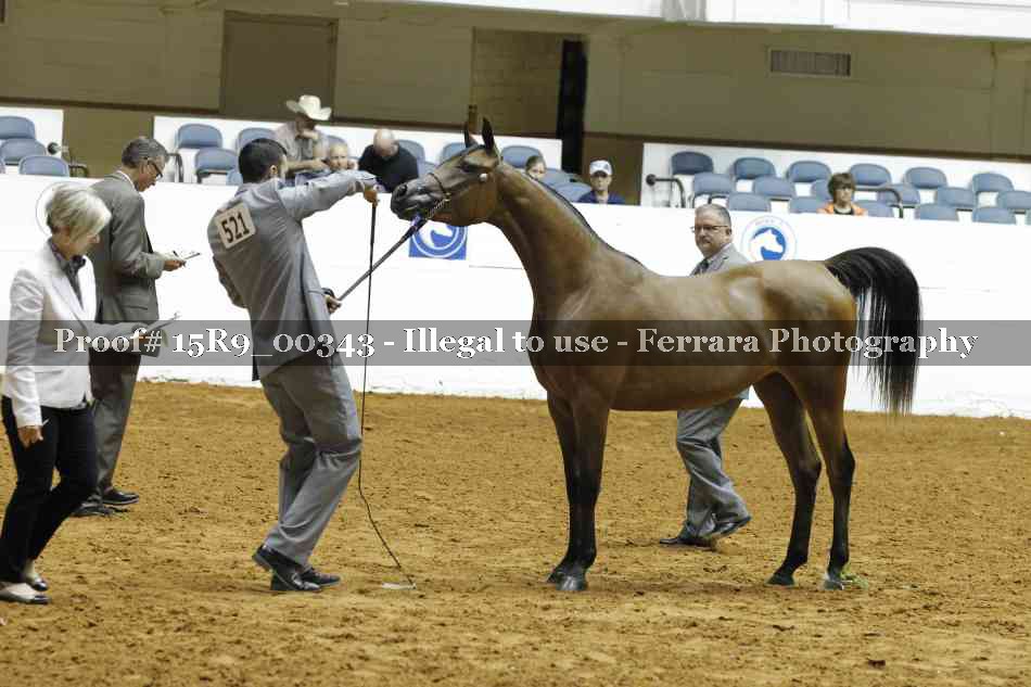 Proof Number 15R9_00343