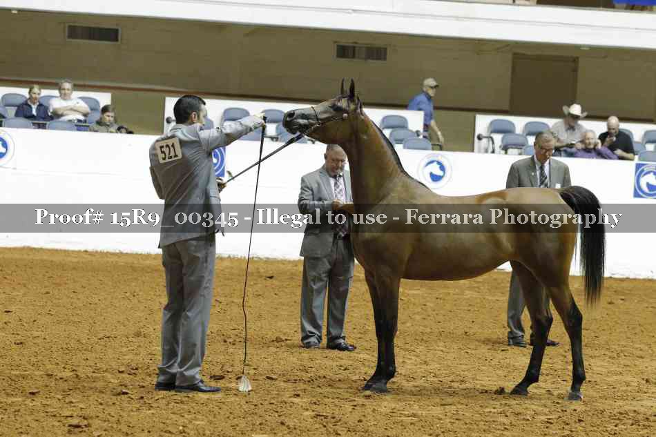 Proof Number 15R9_00345