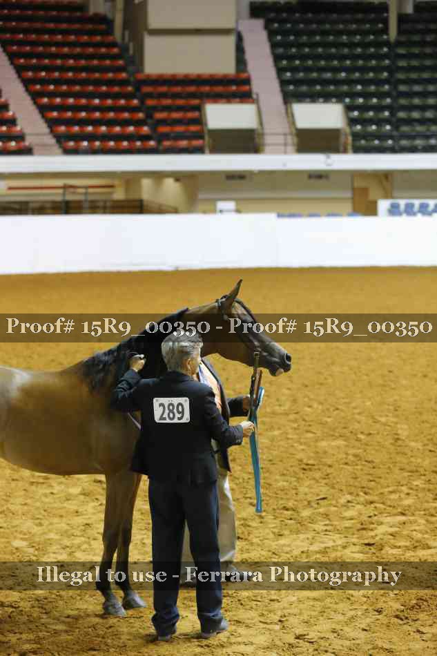 Proof Number 15R9_00350