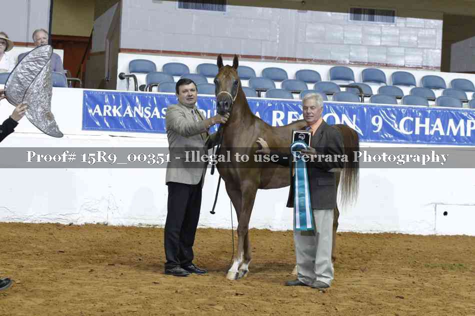 Proof Number 15R9_00351