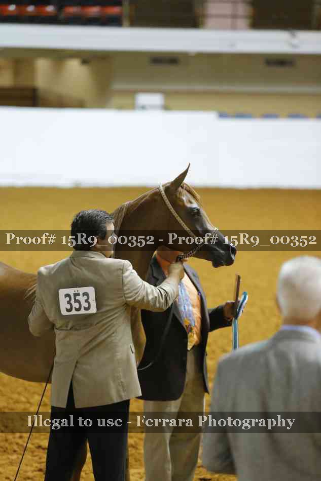Proof Number 15R9_00352