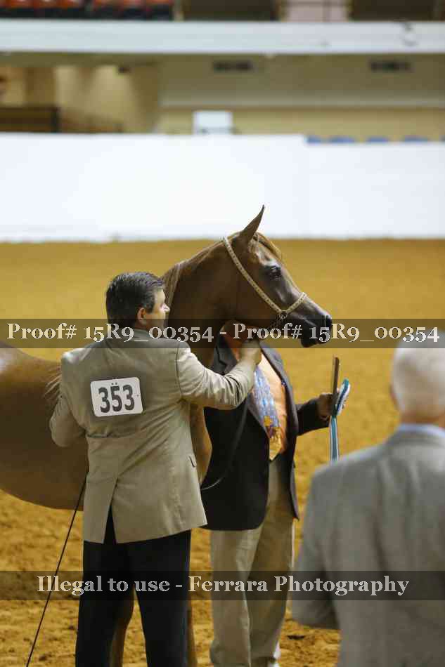 Proof Number 15R9_00354