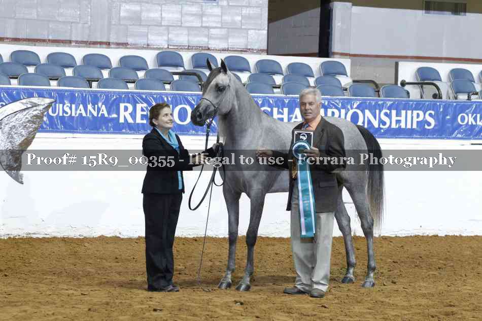 Proof Number 15R9_00355