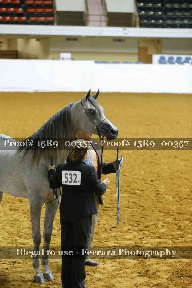 Proof Number 15R9_00357