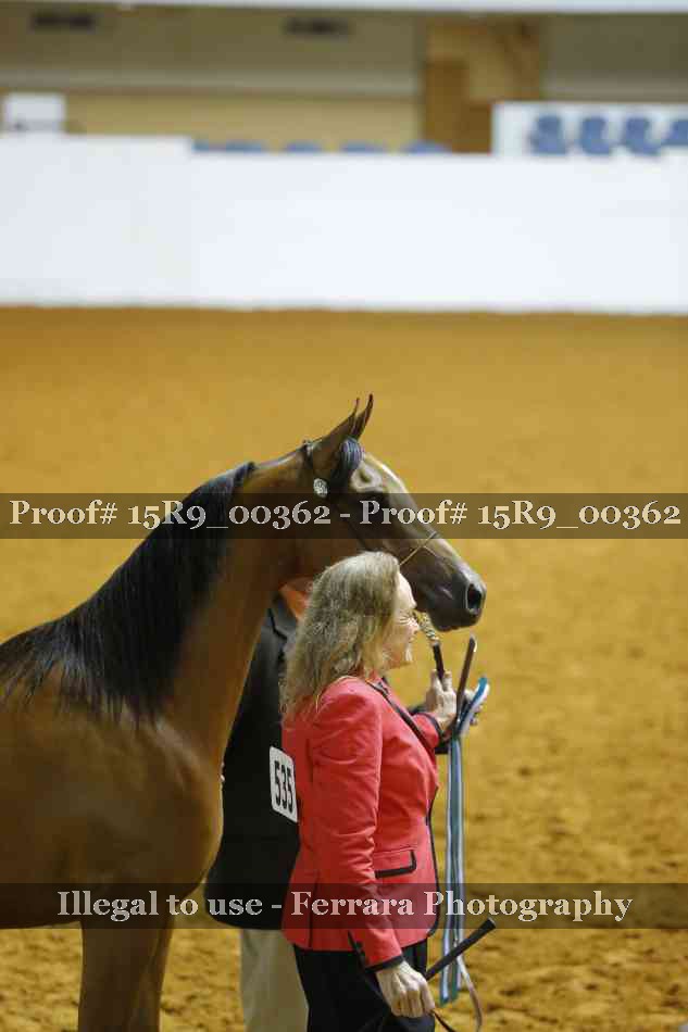 Proof Number 15R9_00362