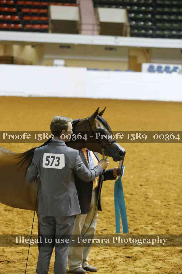 Proof Number 15R9_00364
