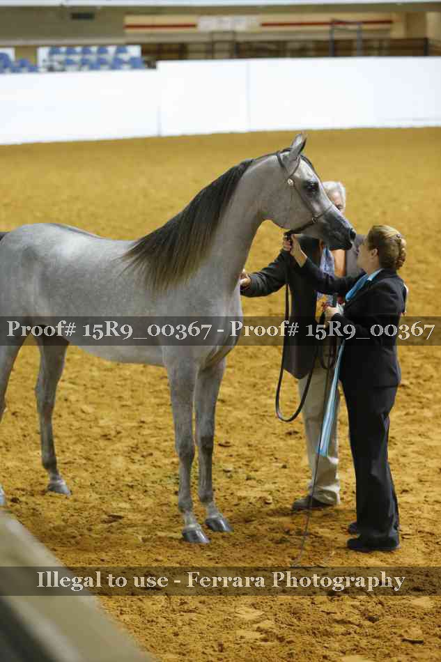Proof Number 15R9_00367