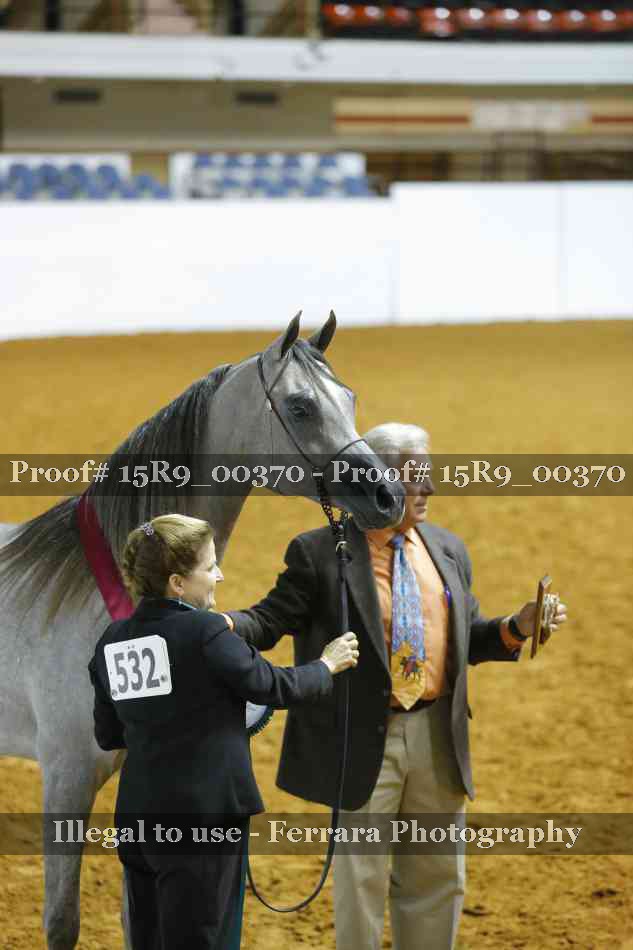 Proof Number 15R9_00370