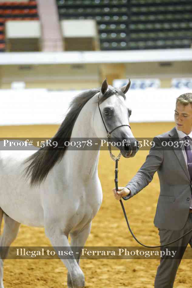 Proof Number 15R9_00378