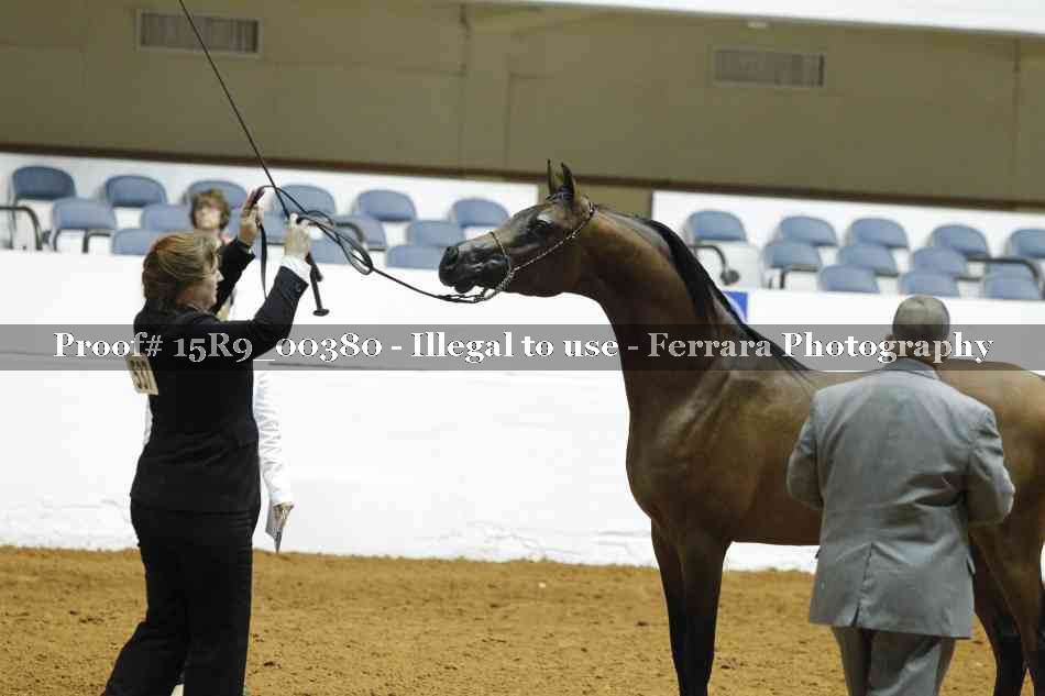 Proof Number 15R9_00380