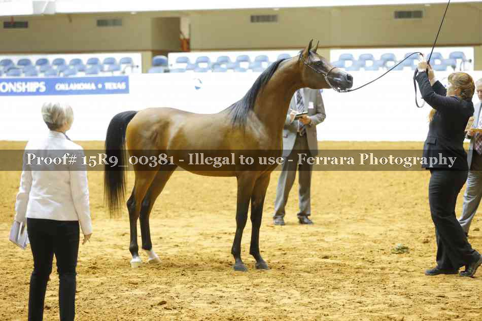 Proof Number 15R9_00381