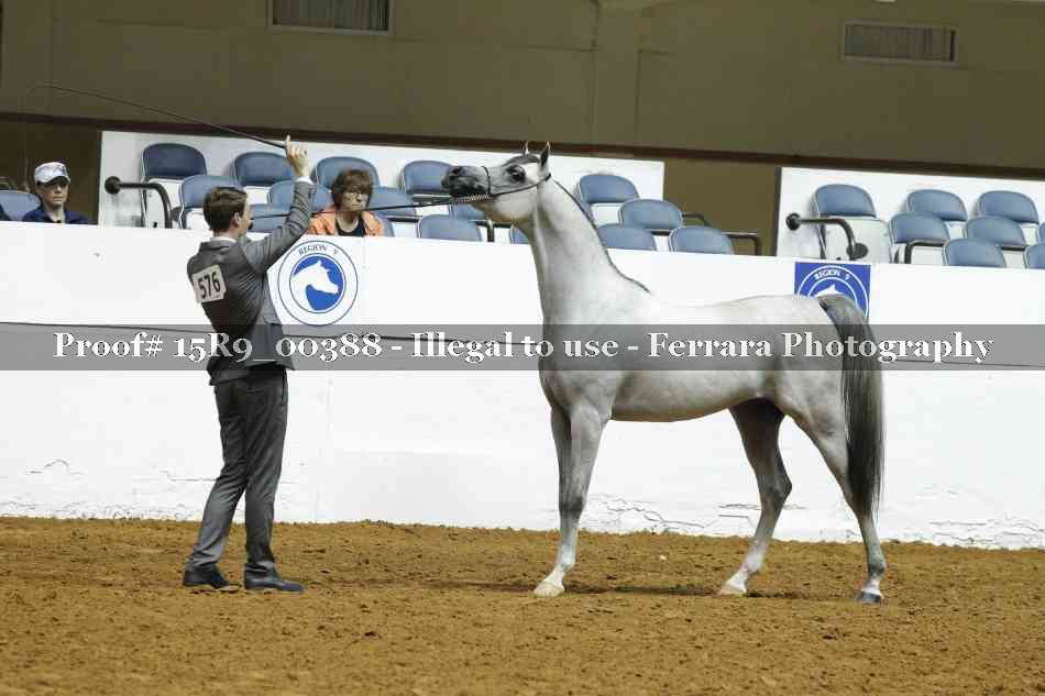Proof Number 15R9_00388