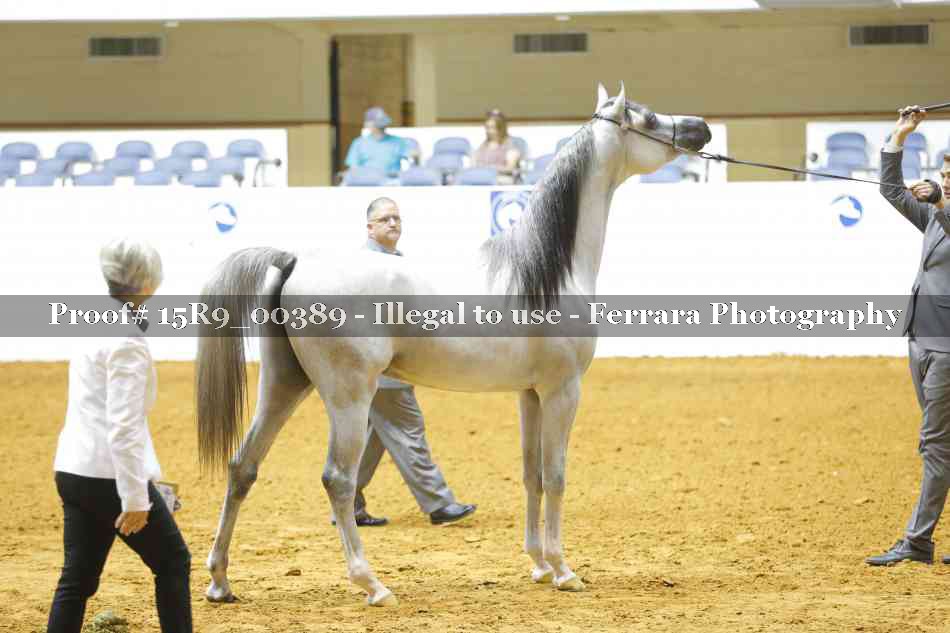 Proof Number 15R9_00389