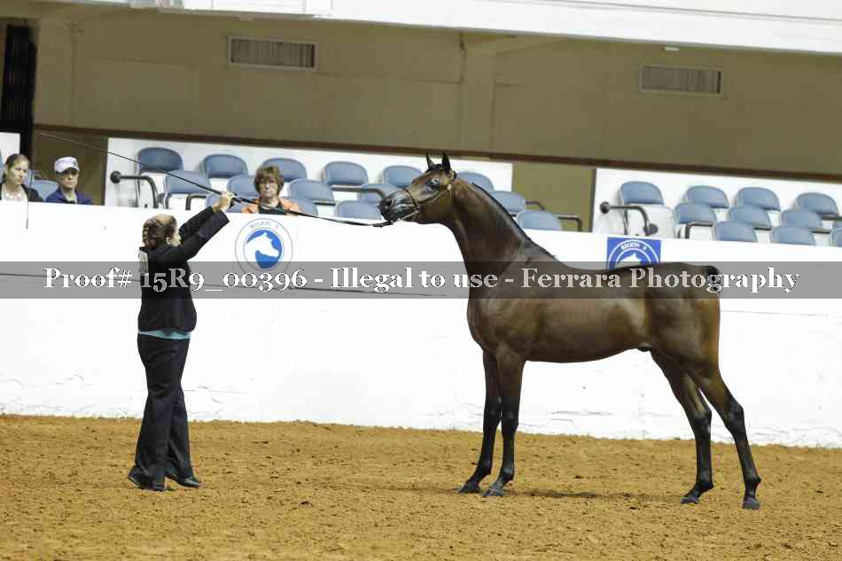 Proof Number 15R9_00396