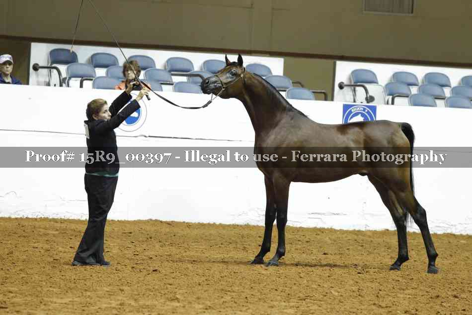 Proof Number 15R9_00397