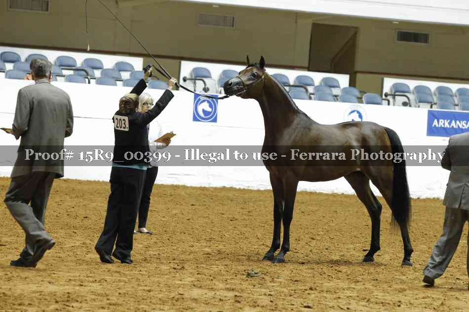 Proof Number 15R9_00399