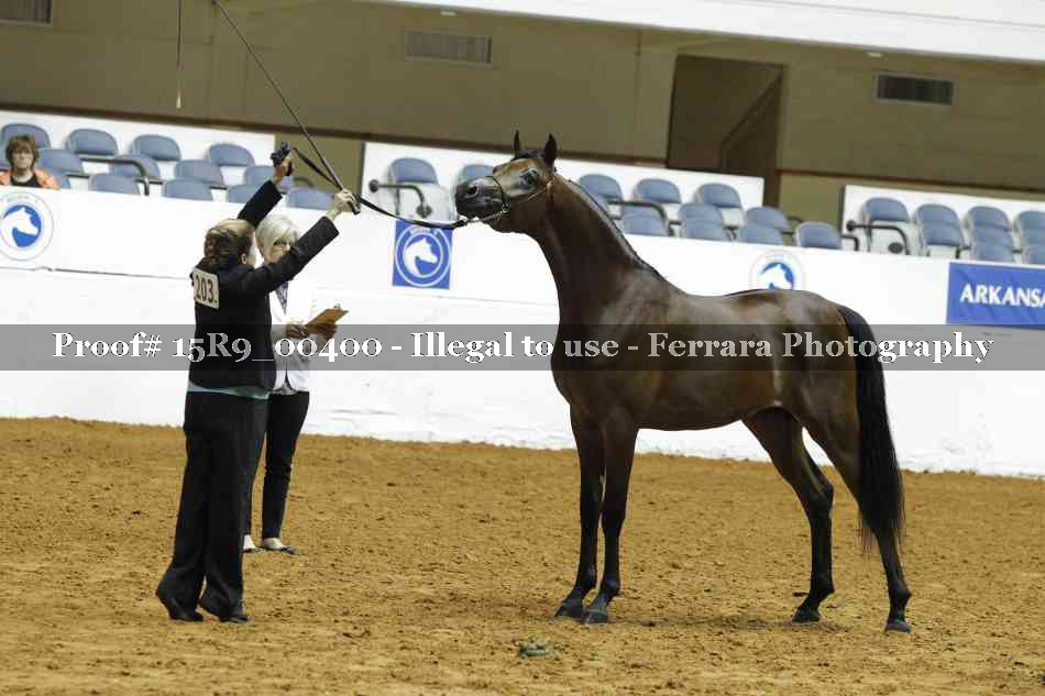 Proof Number 15R9_00400