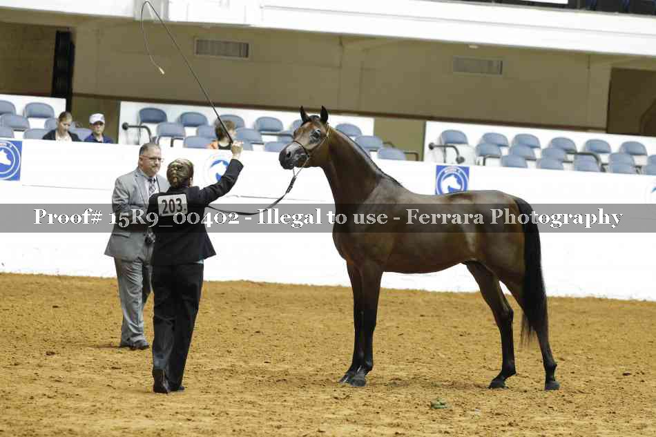 Proof Number 15R9_00402