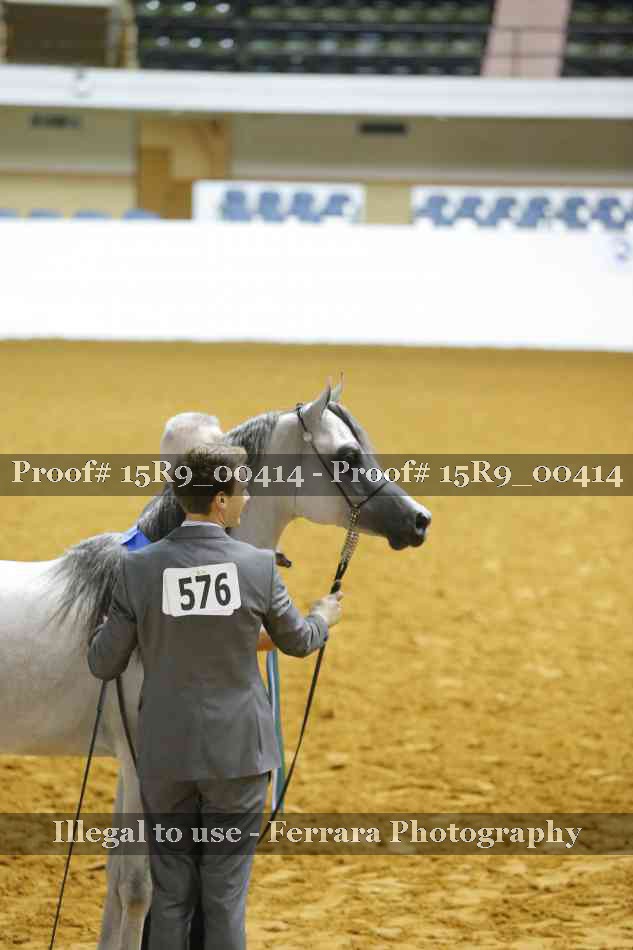Proof Number 15R9_00414