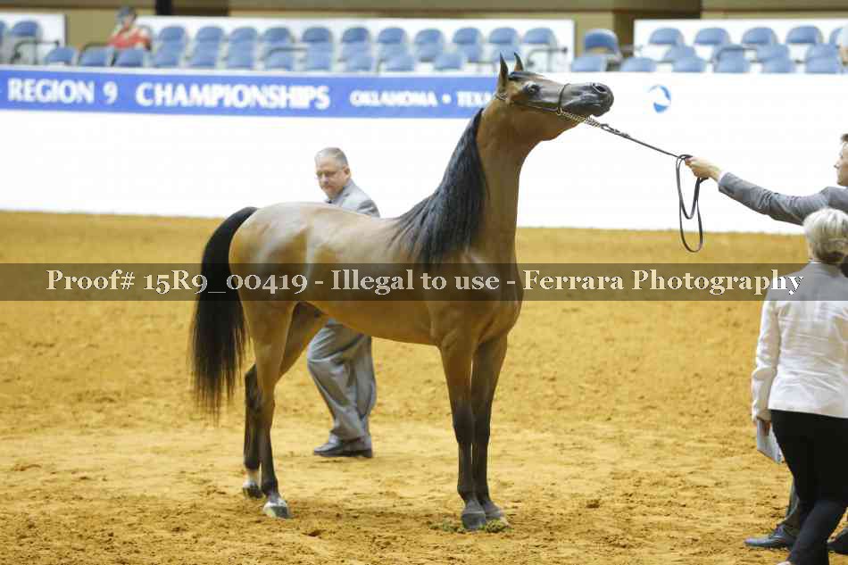 Proof Number 15R9_00419