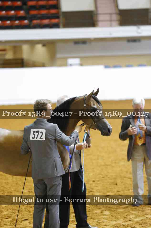 Proof Number 15R9_00427