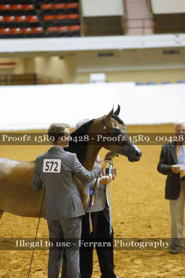 Proof Number 15R9_00428