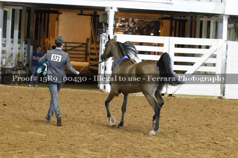 Proof Number 15R9_00430
