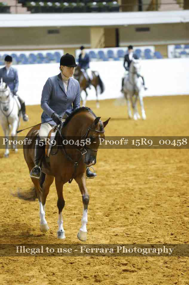Proof Number 15R9_00458