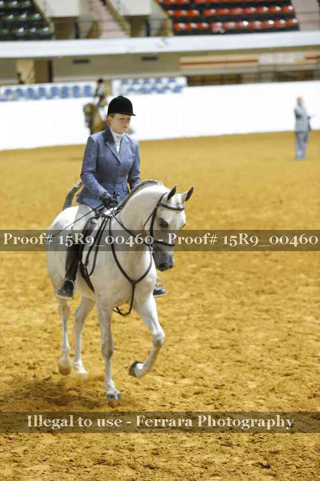 Proof Number 15R9_00460