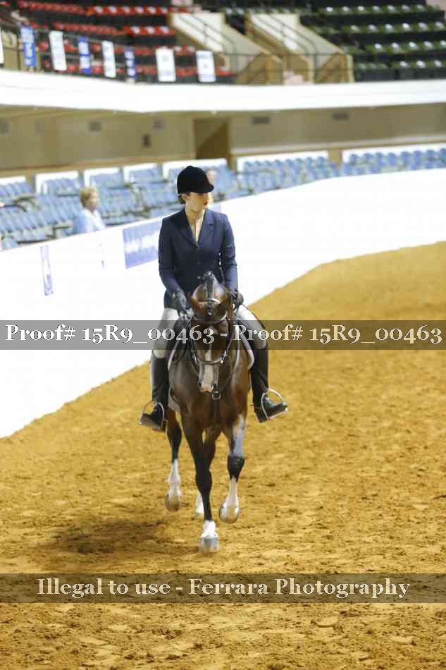 Proof Number 15R9_00463