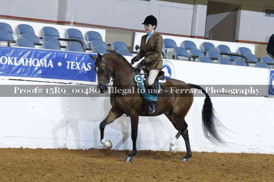 Proof Number 15R9_00480