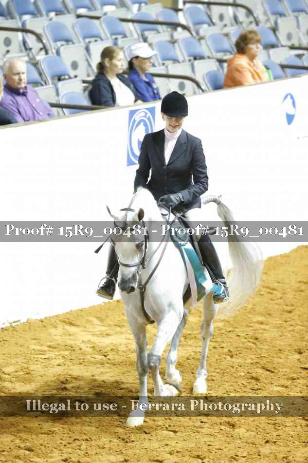 Proof Number 15R9_00481