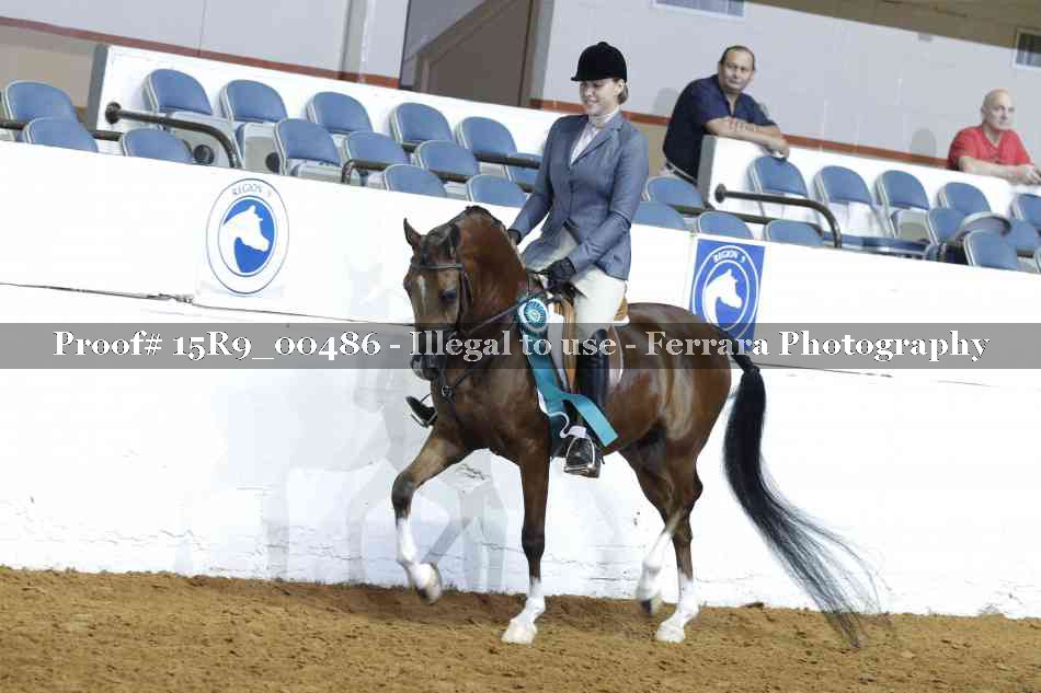 Proof Number 15R9_00486