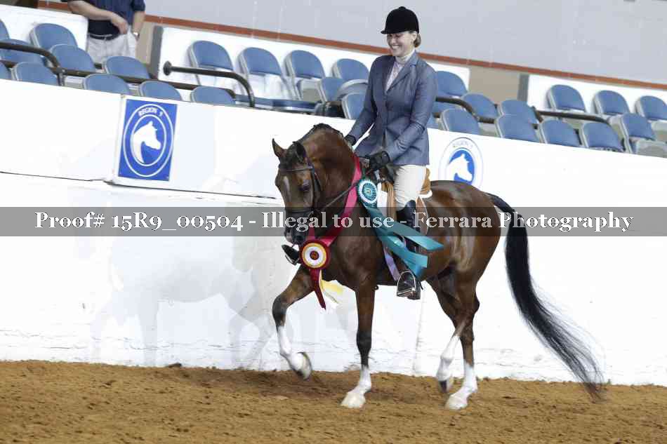 Proof Number 15R9_00504