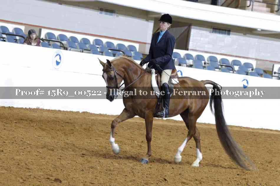 Proof Number 15R9_00522