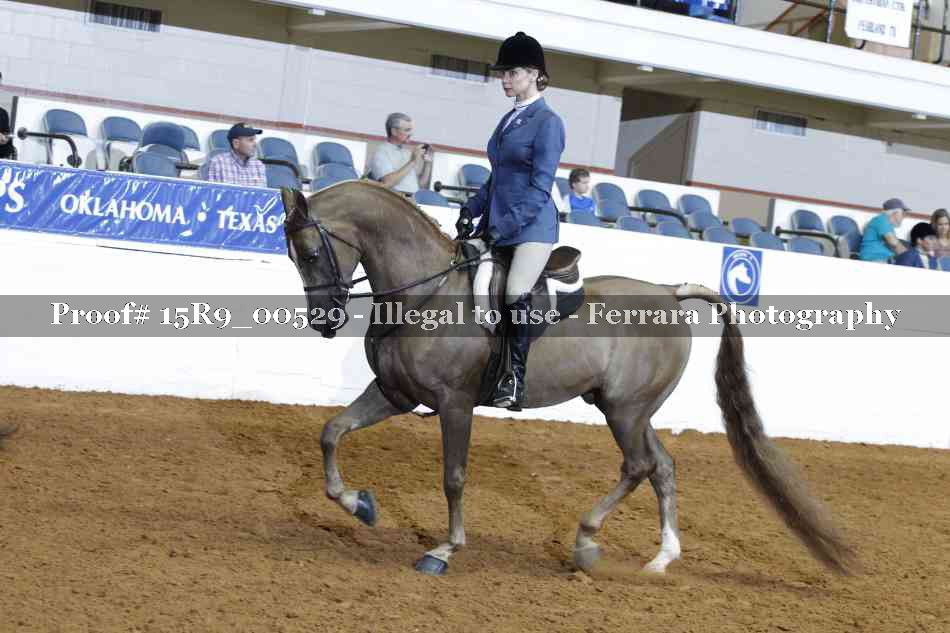 Proof Number 15R9_00529