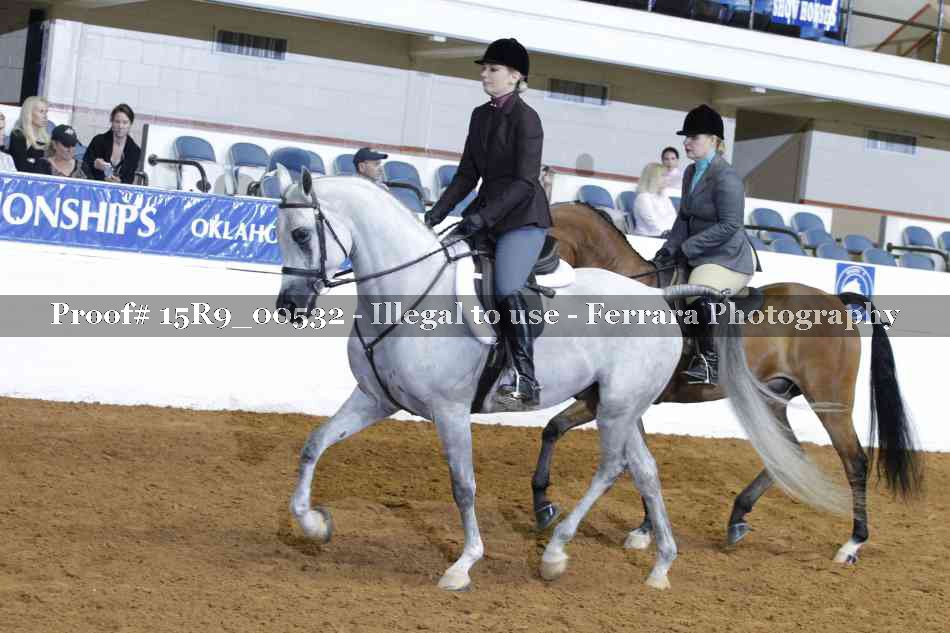 Proof Number 15R9_00532