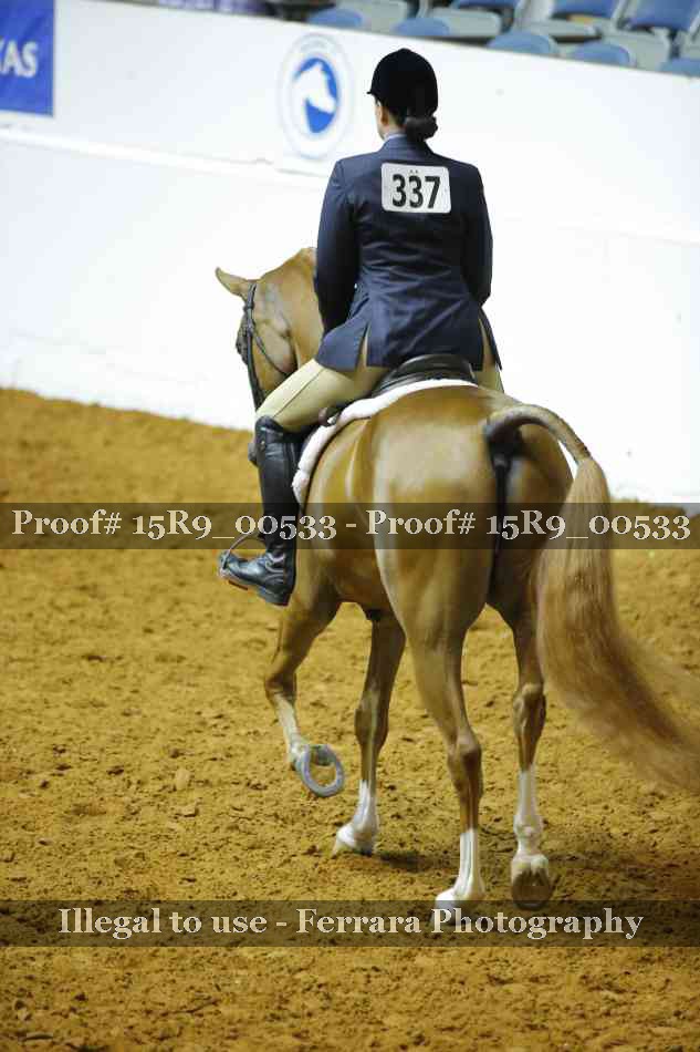 Proof Number 15R9_00533