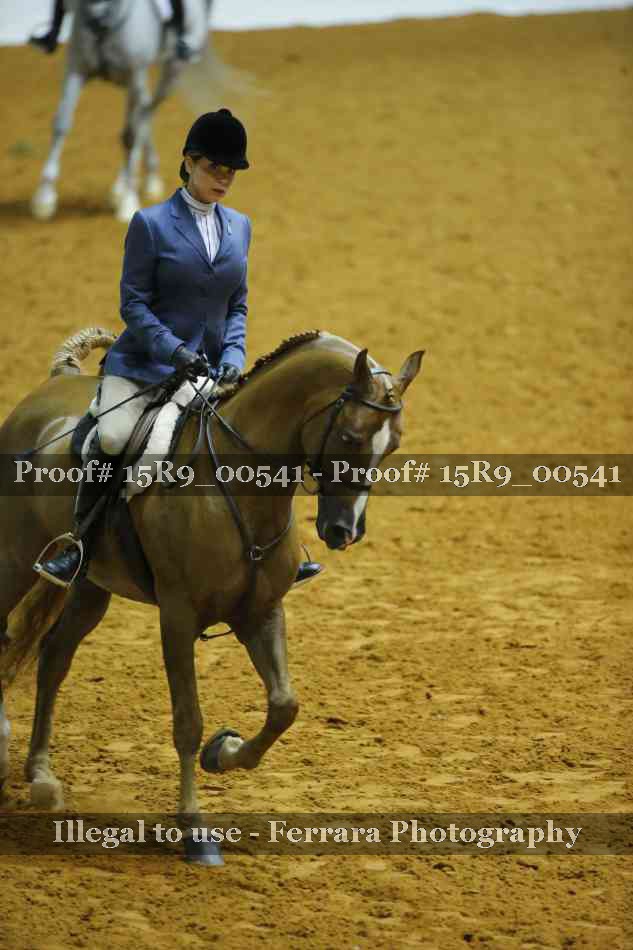 Proof Number 15R9_00541
