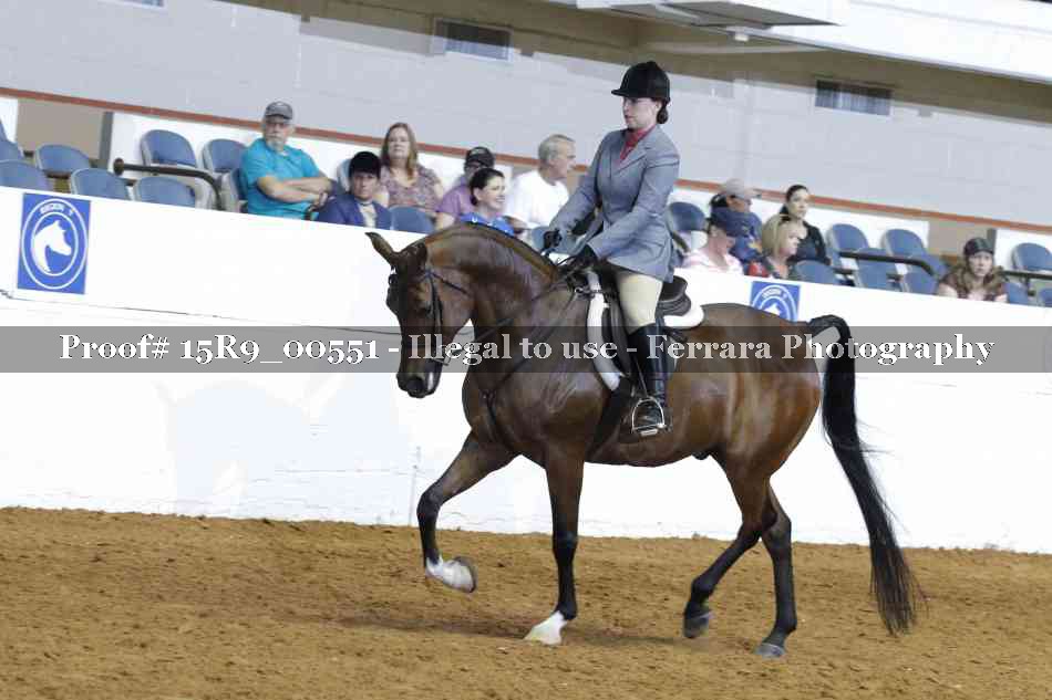 Proof Number 15R9_00551