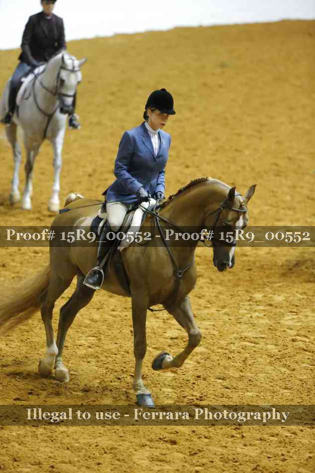 Proof Number 15R9_00552