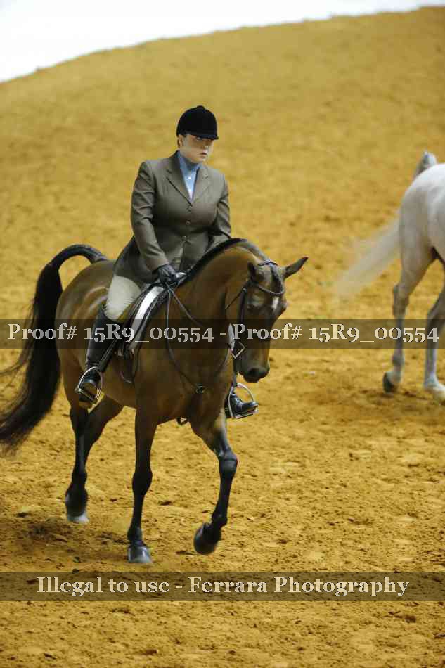 Proof Number 15R9_00554