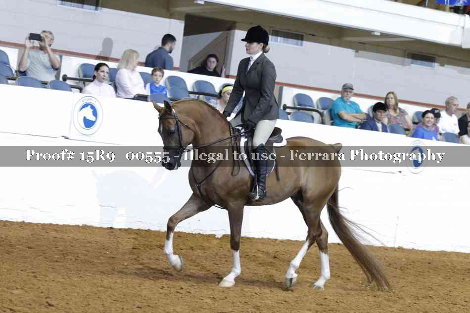 Proof Number 15R9_00555