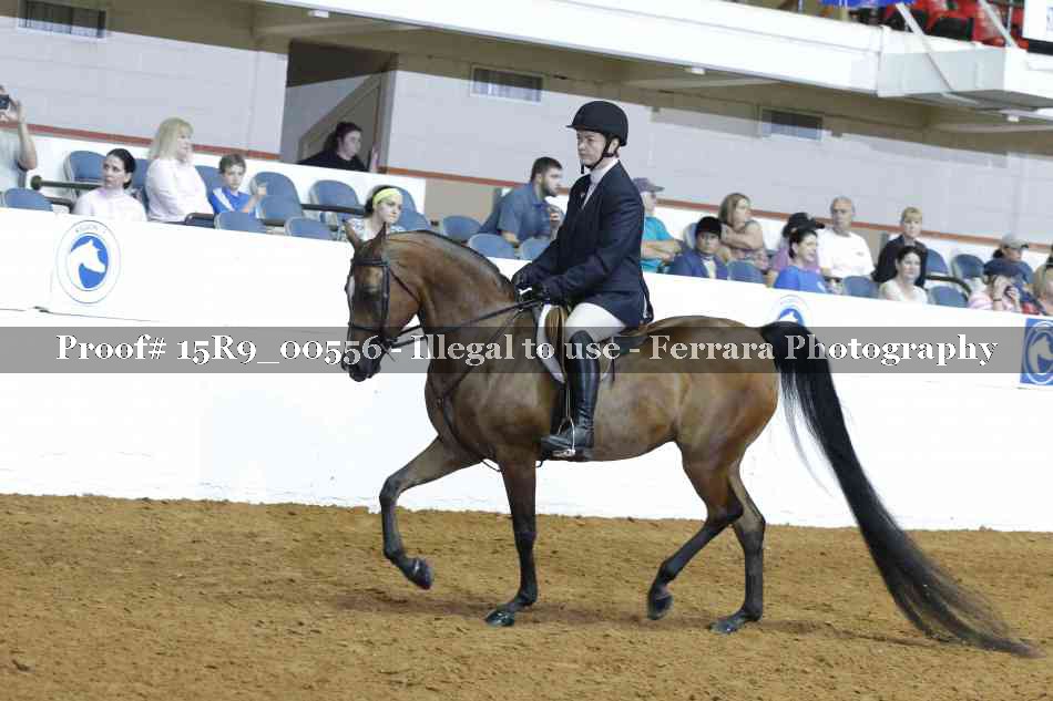 Proof Number 15R9_00556