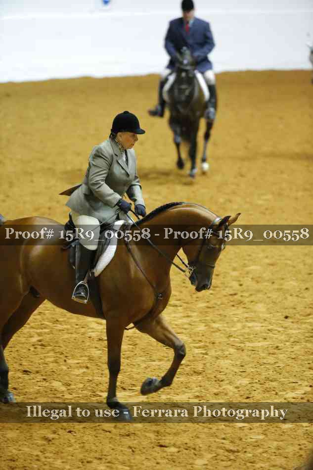 Proof Number 15R9_00558