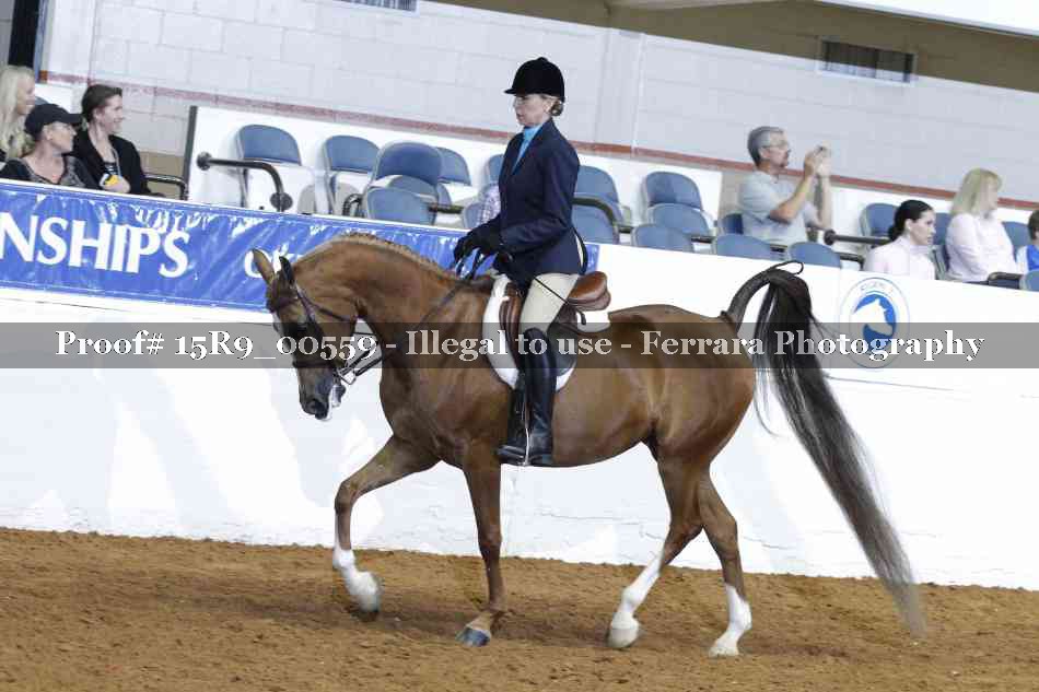 Proof Number 15R9_00559